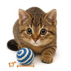 PetBox Cutie's 1.7in sisal ball is ideal for indoor fetch and exercise.