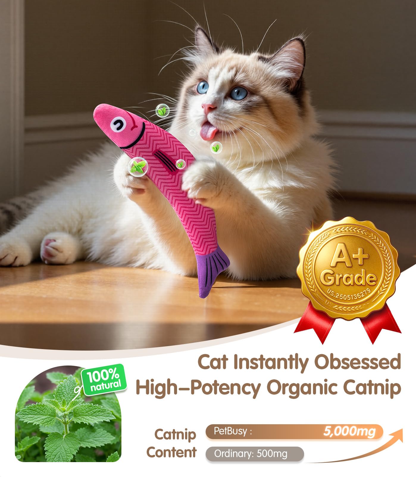 PetBusy cat toy crinkle-rattle sounds encourage curiosity and chase