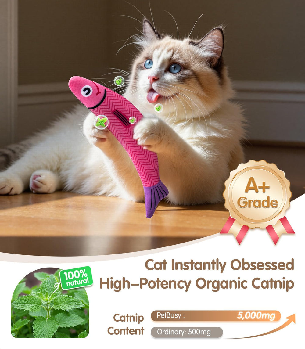PetBusy Juguete con crujido y sonajero para captar atención y caza