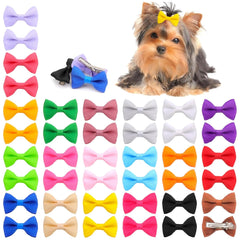 Petbuy 40pcs Christmas dog bows variety pack for festive dress-up
