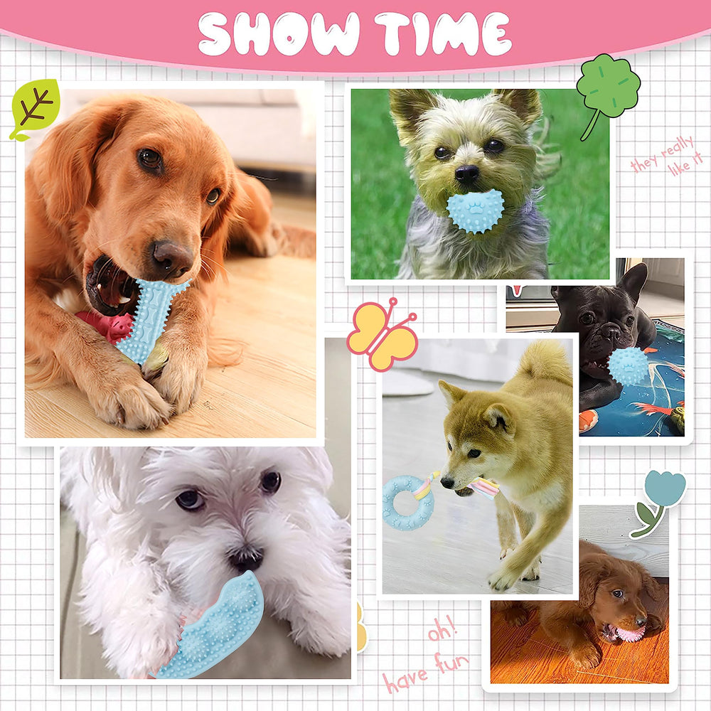Petbuy 6-pack puppy chew toys collection shows all six shapes