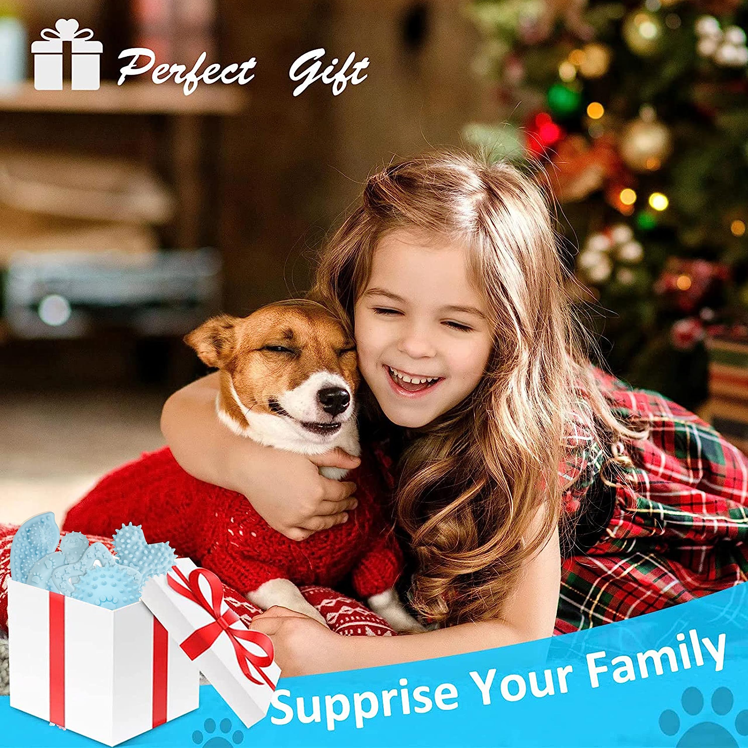 Petbuy 6-pack puppy chew toys squeaky ball for interactive fun