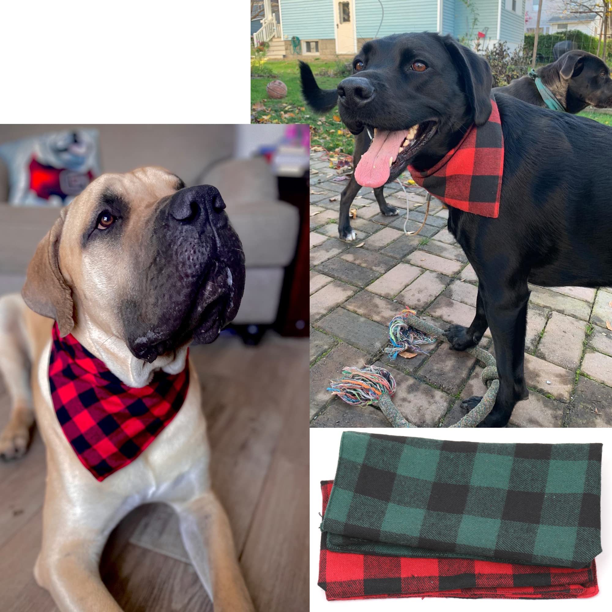 Petbuy dog bandana green grid neck close-up suggests versatile daily wear