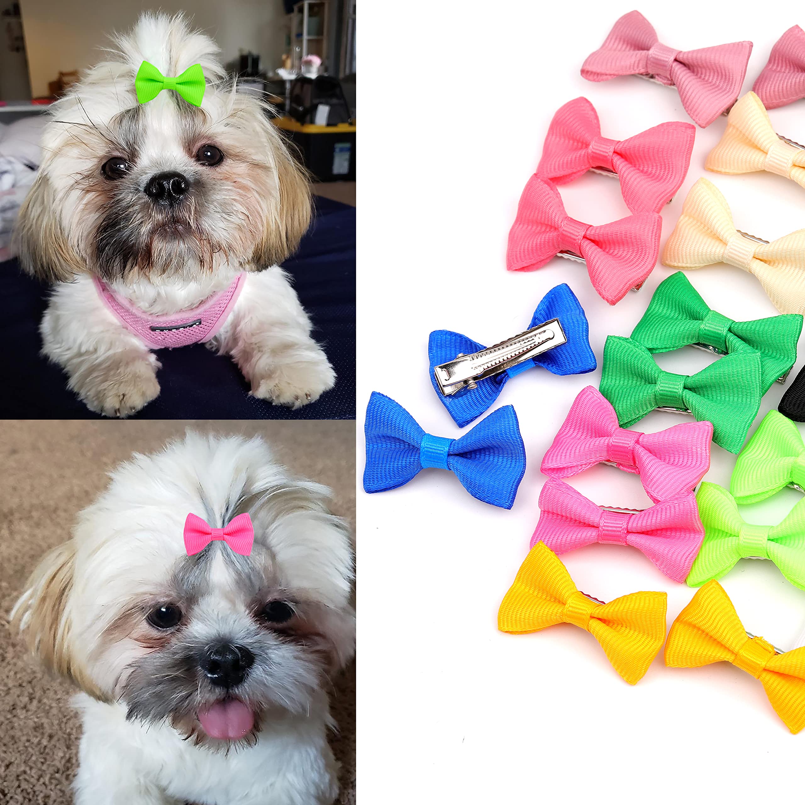 Petbuy dog bows with clips and bands demonstrate quick secure grooming accessory