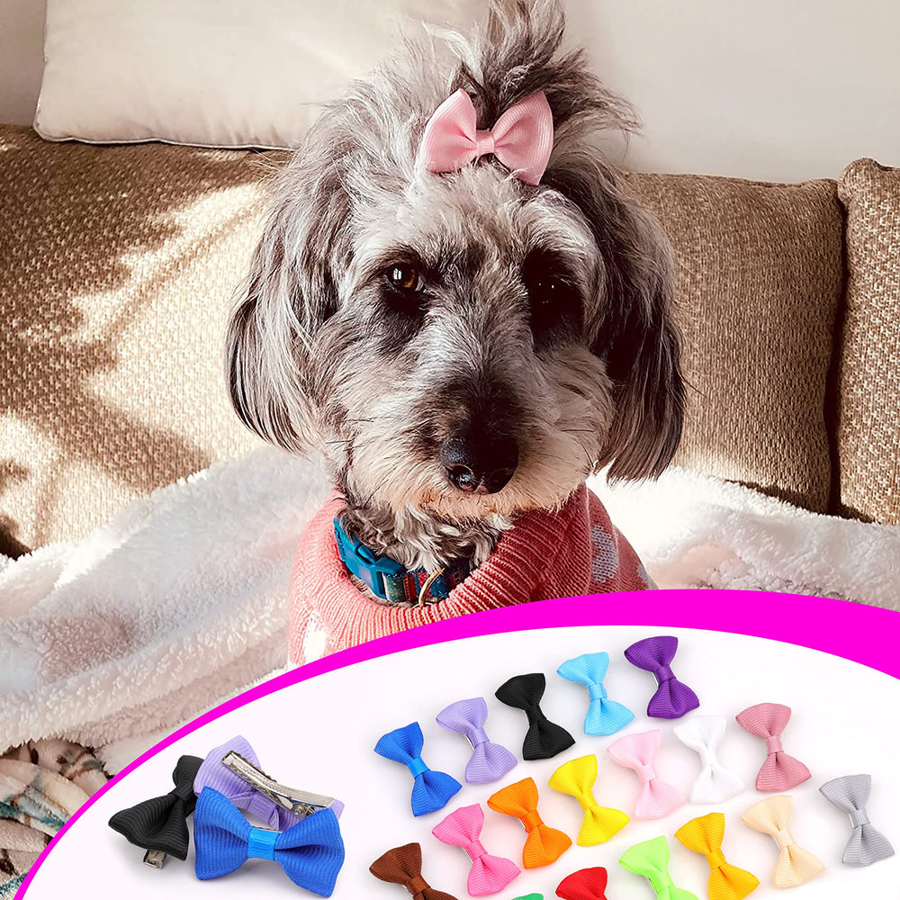 Petbuy colorful bows for dogs promote neat grooming with reliable rubber bands