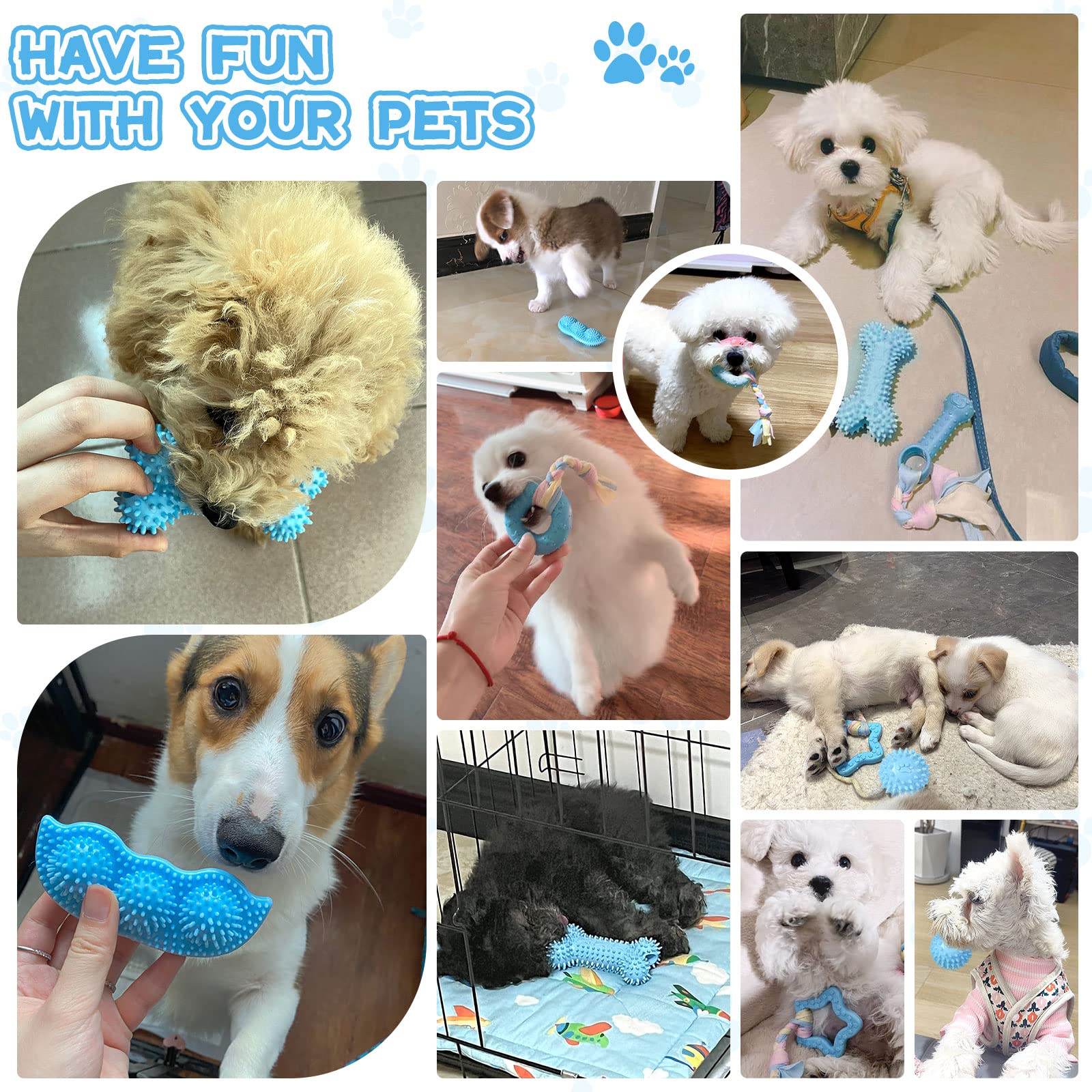 Petcare blue-pack puppy chews ideal for Yorkie and other small breeds.