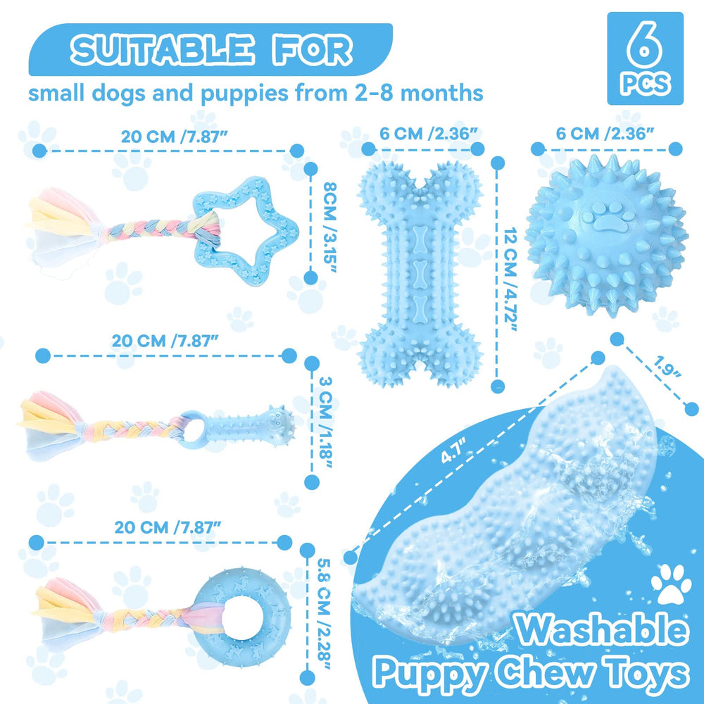 Petcare bone-and-ball blue set for indoor and outdoor play.