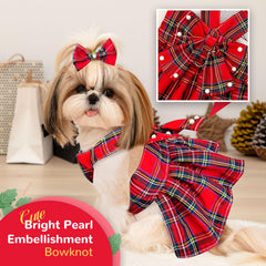 PETCARE bow hairpin accessory adds charming party-ready flair