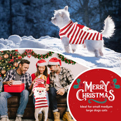 PETCARE Santa dog sweater model wearing for holiday charm and warmth