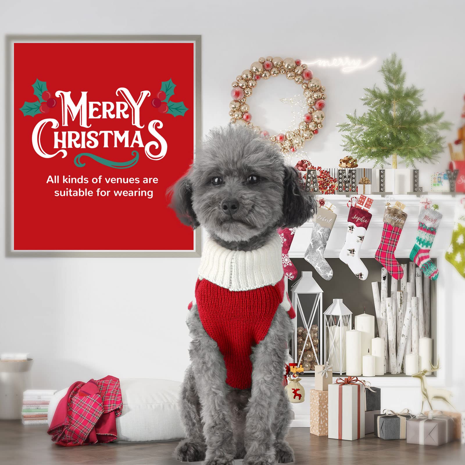 Petcare Christmas dog sweater stripe red—classic knit with easy-on design.