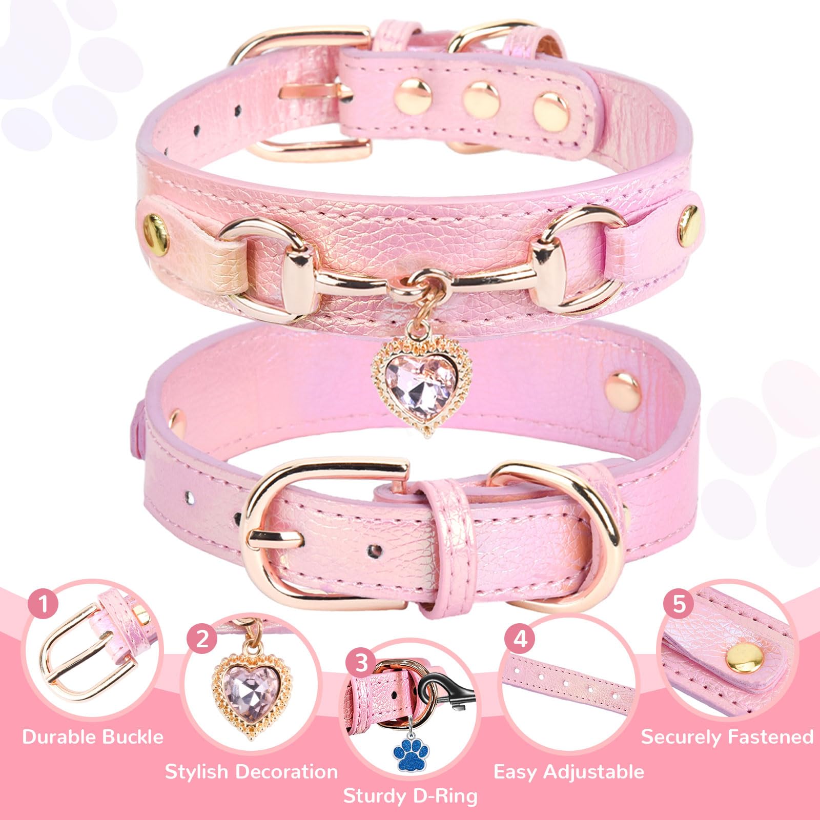 PETCARE daily-wear photo-ready collar for everyday adventures