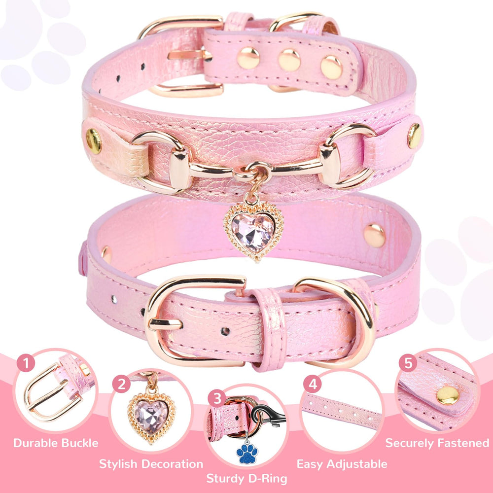 PETCARE daily-wear photo-ready collar for everyday adventures
