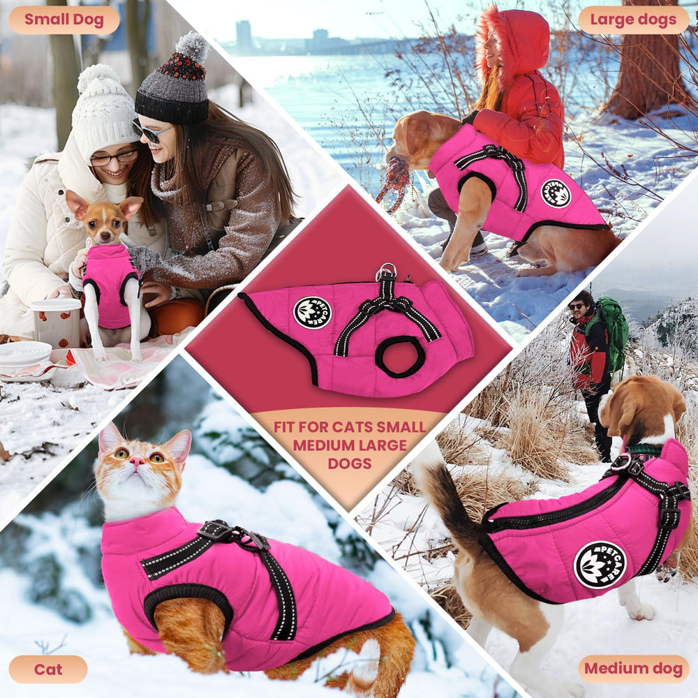 Petcare dog coat in five colors and eight sizes for a broad breed fit range.