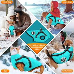 PETCARE Size Range Colors shows 5 colors and 8 sizes for a proper fit.
