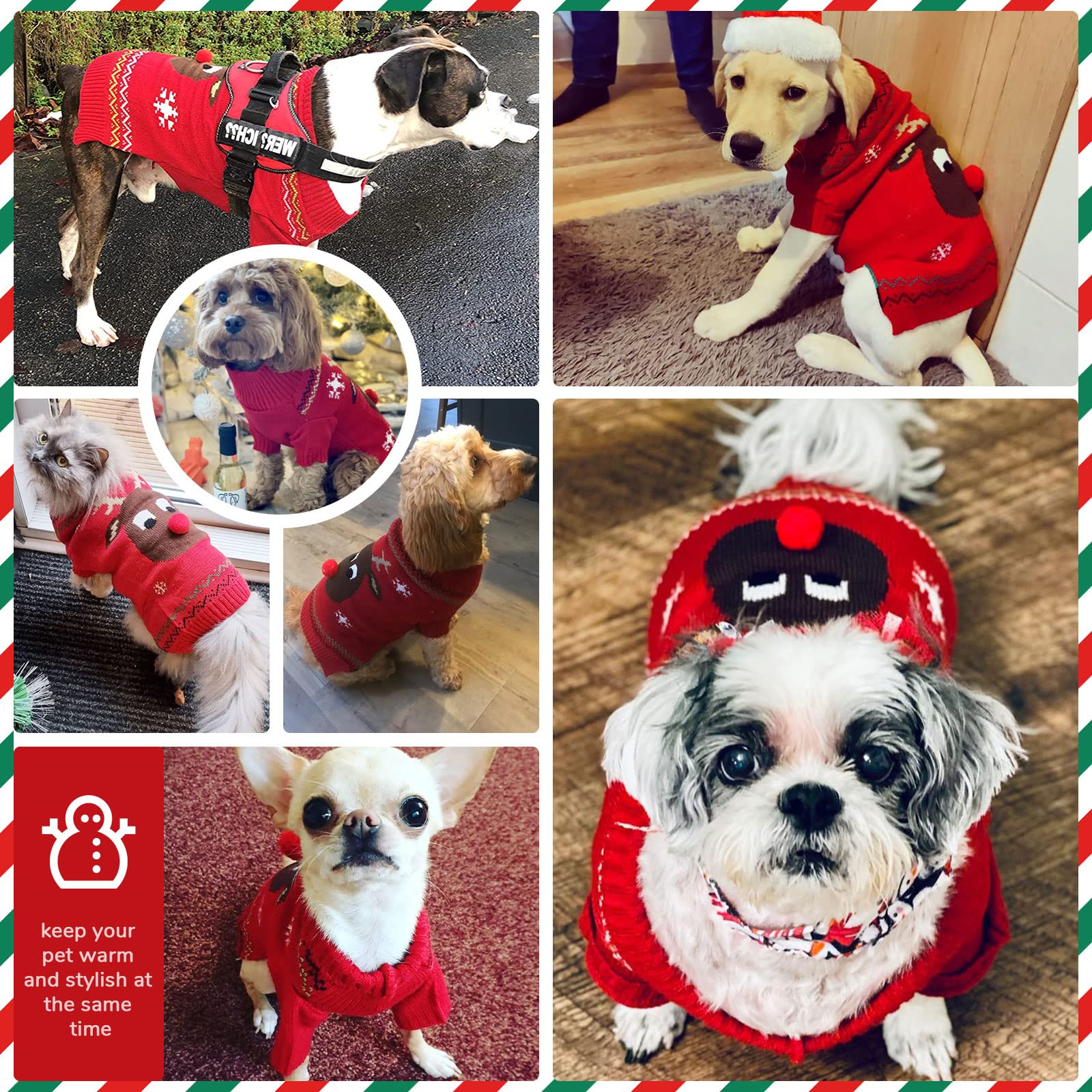 Petcare knitted sweater close-up shows soft breathable knit for comfortable wear