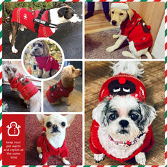 Petcare knitted sweater close-up shows soft breathable knit for comfortable wear