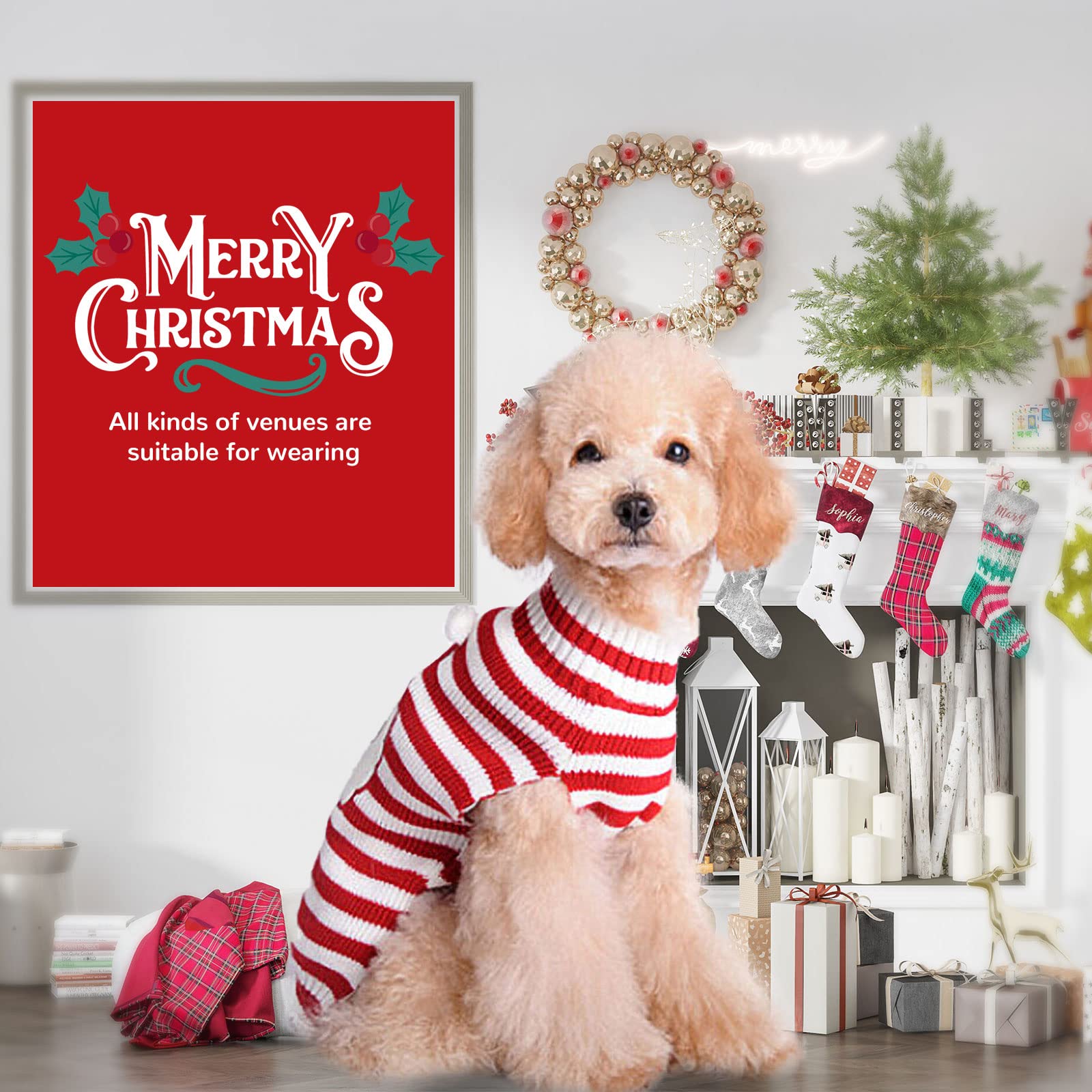 PETCARE dog sweater washable design keeps holiday look clean and reusable