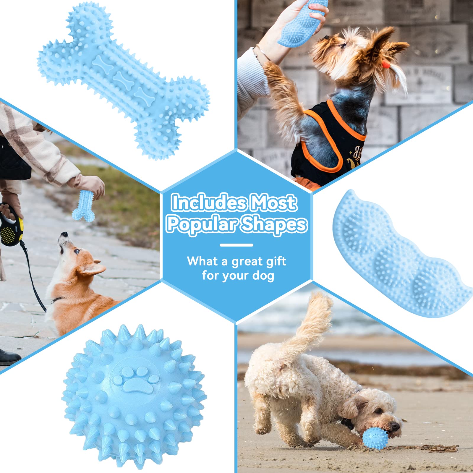Petcare donut blue toy provides engaging play and dental cleaning action.