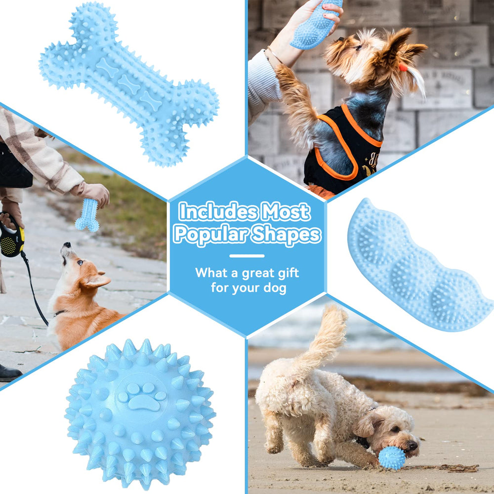 Petcare donut blue toy provides engaging play and dental cleaning action.
