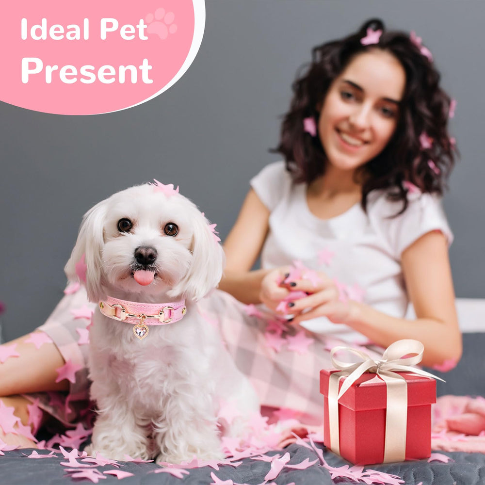 PETCARE durable metal D-rings for leash and ID tags