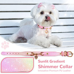 PETCARE gradient shimmer under sun enhances photos