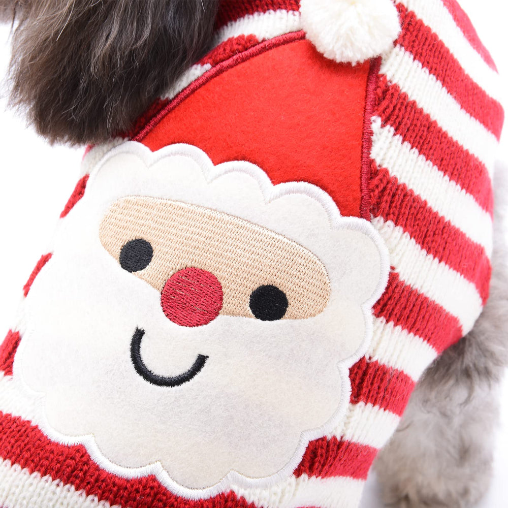 PETCARE holiday design featuring snowflakes and reindeer suits pets for parties