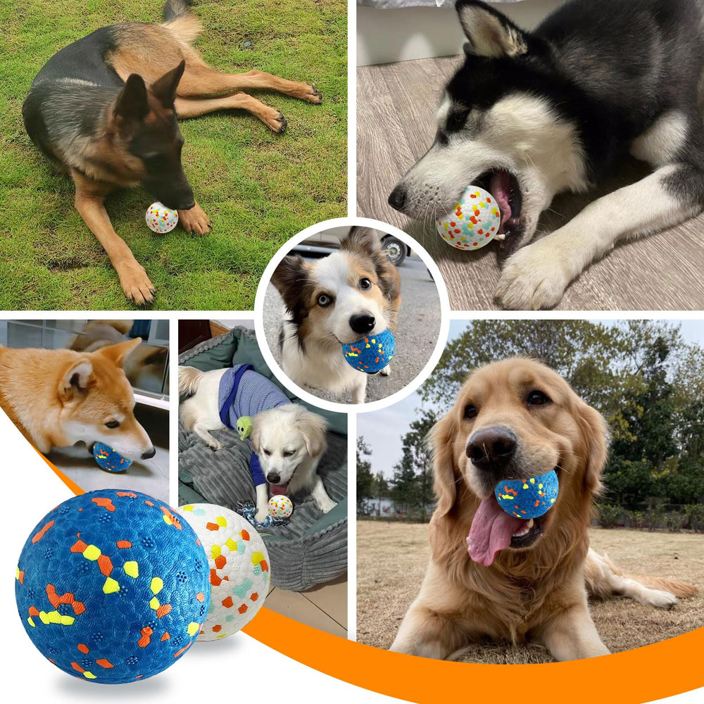 Petcare interactive fetch ball strengthens human-pet bond