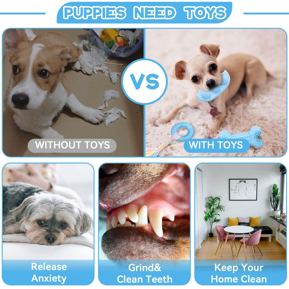 Petcare peas-shaped blue toy with bumps aids dental cleaning.