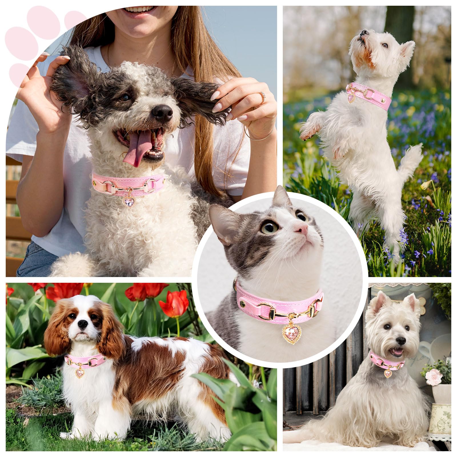 PETCARE premium PU leather collar offers soft comfort