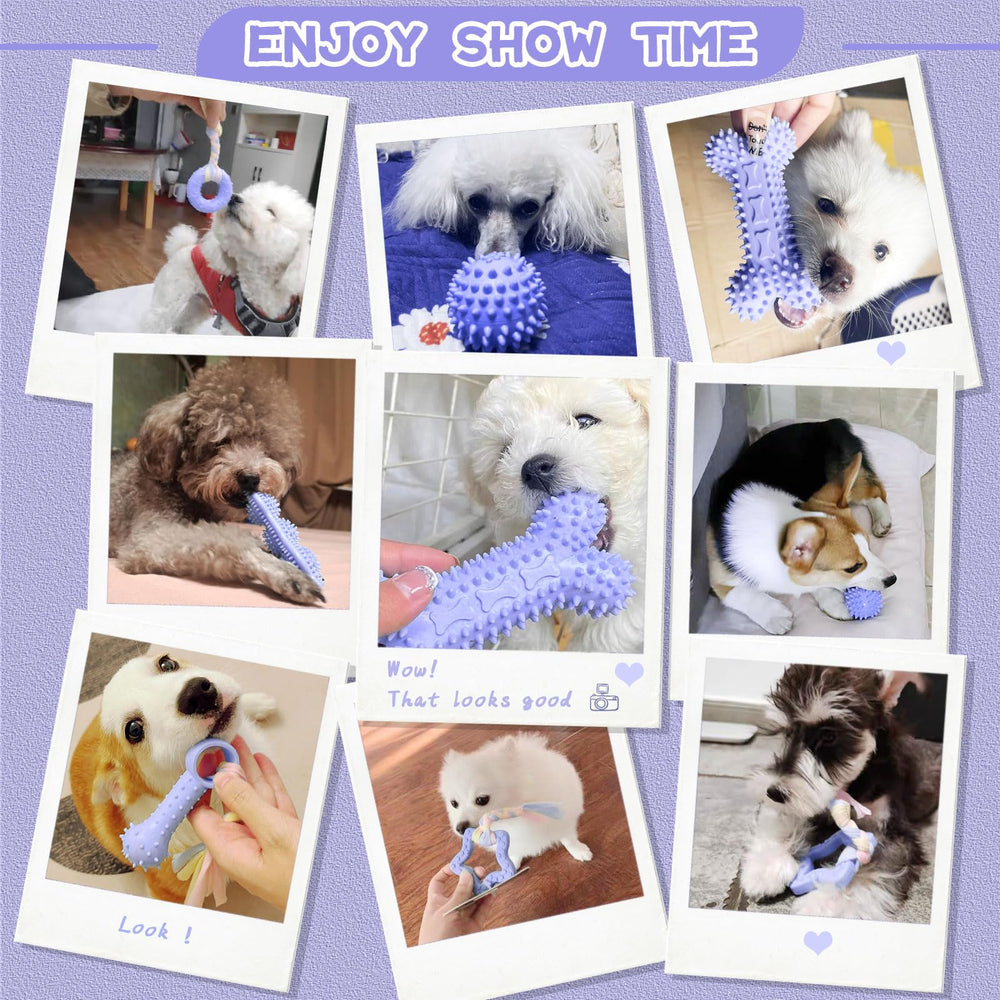 Petcare multi-color teething-toy set highlights varied textures for exploration