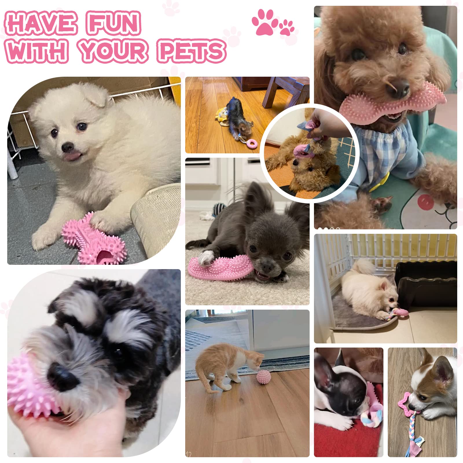 Petcare puppy teething toy pack: six shapes support growing puppies' needs