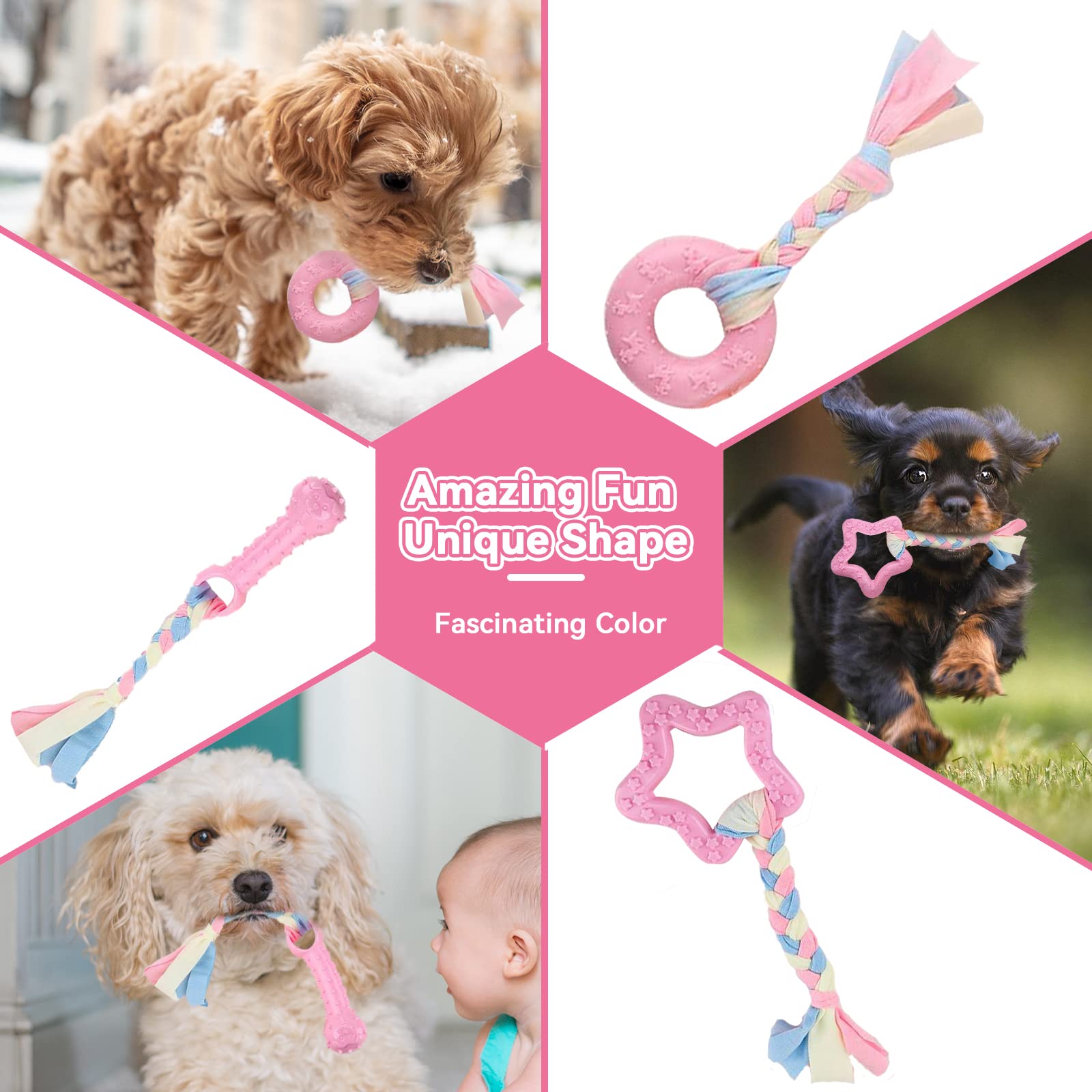 Petcare puppy toy pentagram: interactive play and engagement for puppy development