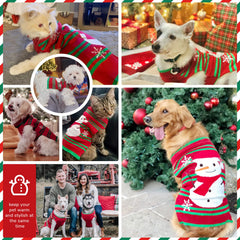 Petcare Red Snowman Dog Sweater model wearing outfit for party-ready holiday look.