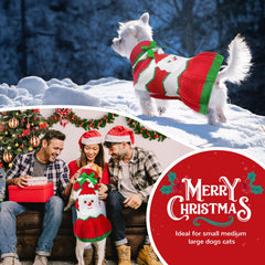 PETCARE red-striped knitted dog sweater highlights festive style for holiday photos.