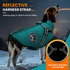 PETCARE Reflective Dog Coat with Harness highlights high-visibility for evening safety.