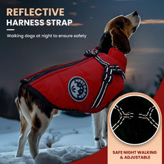 PETCARE Reflective Harnessed Dog Jacket — high-visibility strap for safer walks in low light.