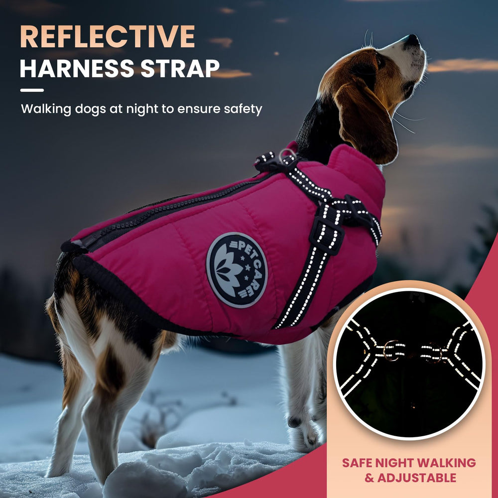 Petcare reflective harness dog coat at night, improving visibility during evening walks.