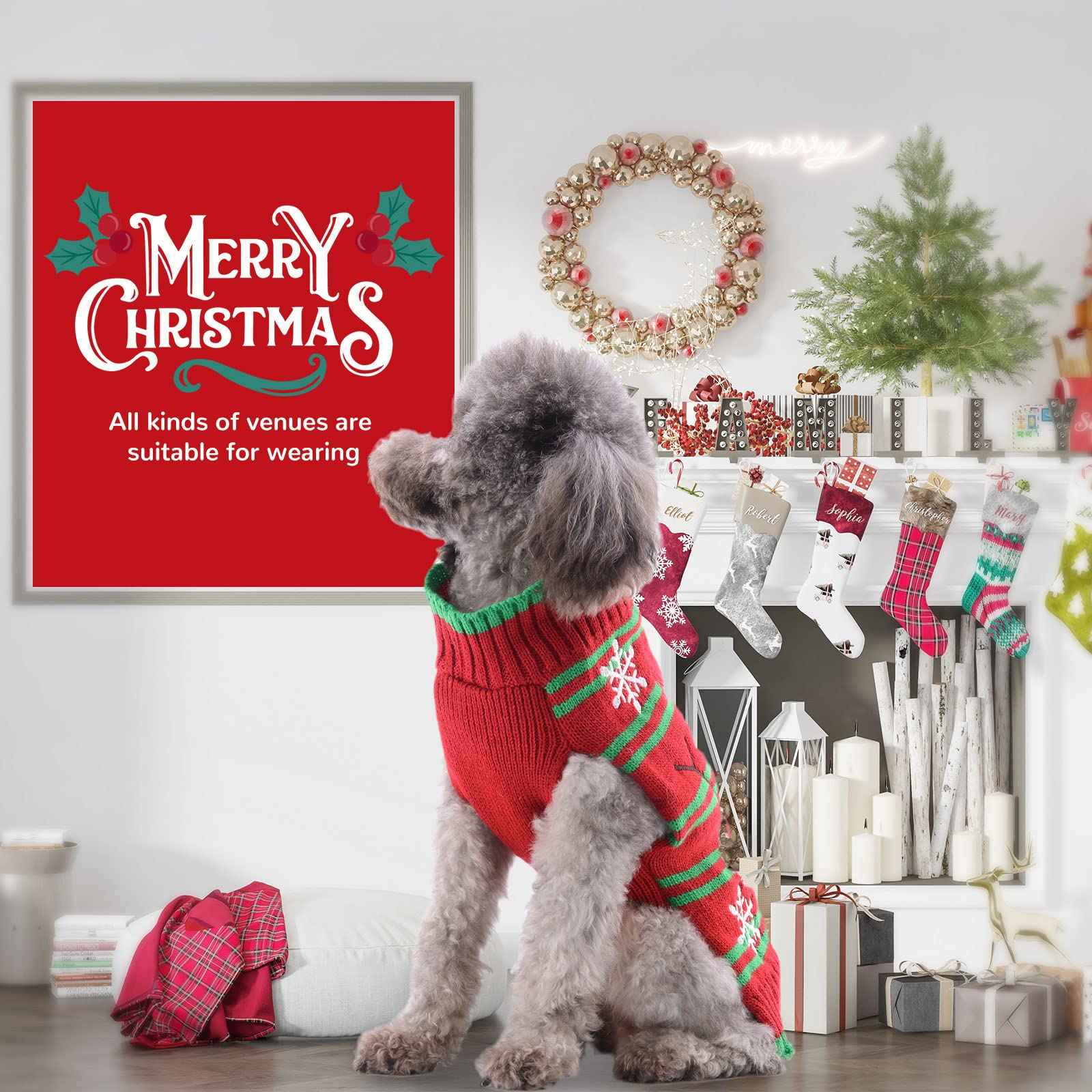 Petcare Size Chart Dog Sweater explains fit for small to large breeds.