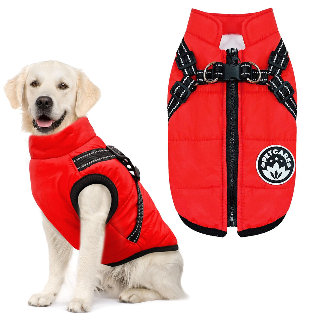 PETCARE Size Guide Visual — easy steps to ensure proper fit for dogs and cats.