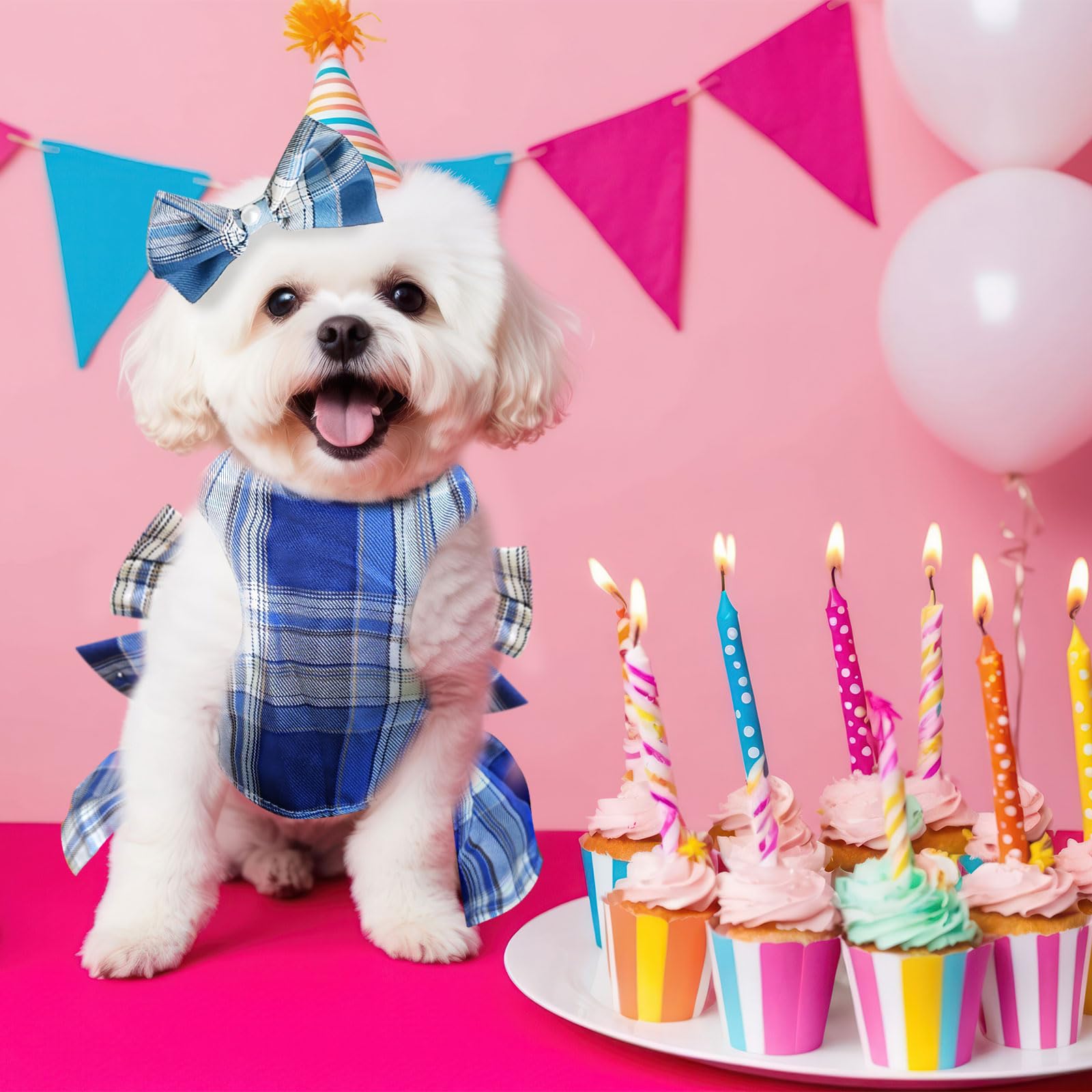 Petcare small dog outfit examples for Shih Tzu and Yorkie.