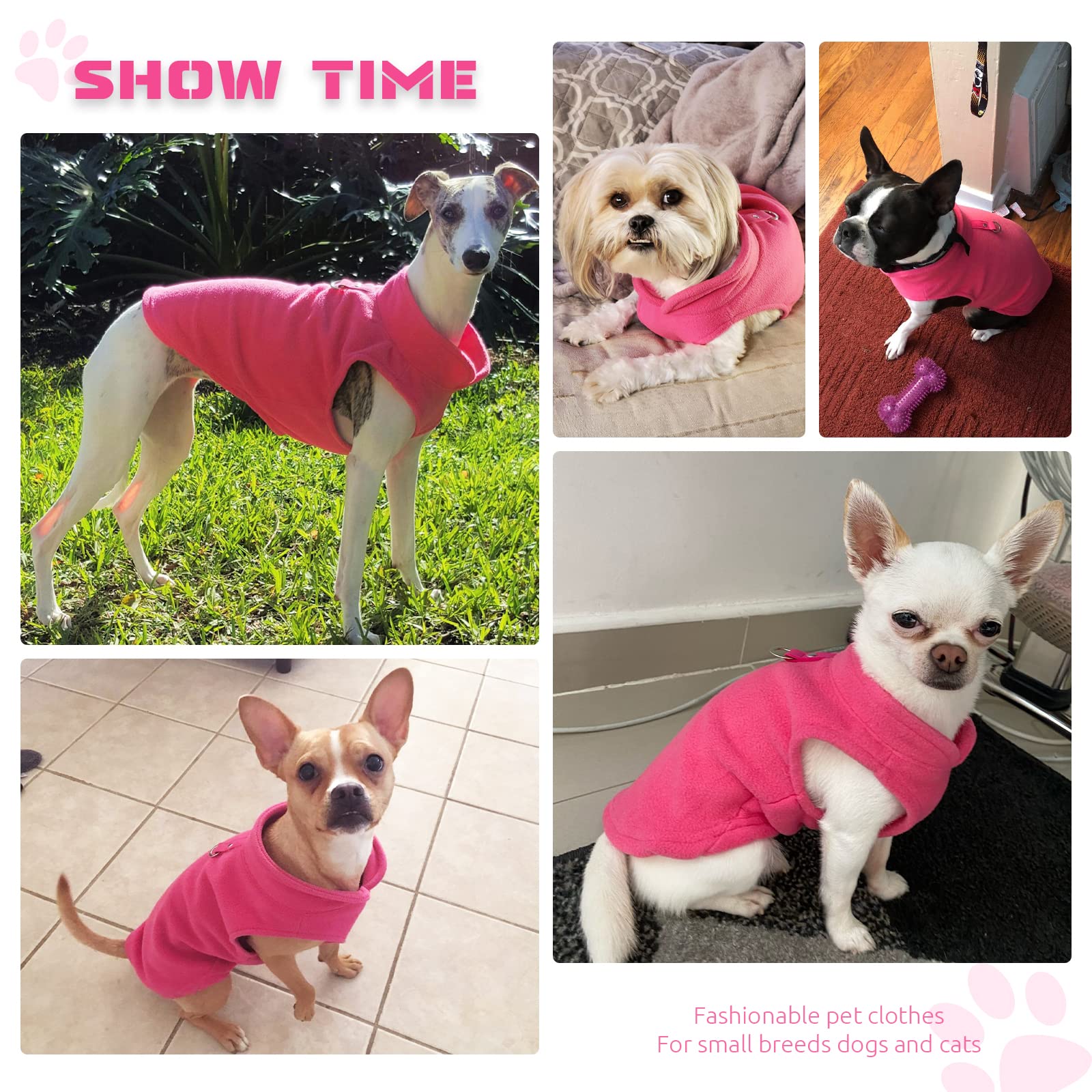 Petcare small-dog-sweater in winter outdoor setting for cozy warmth.