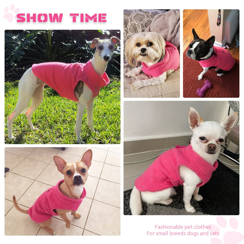 Petcare small-dog-sweater in winter outdoor setting for cozy warmth.
