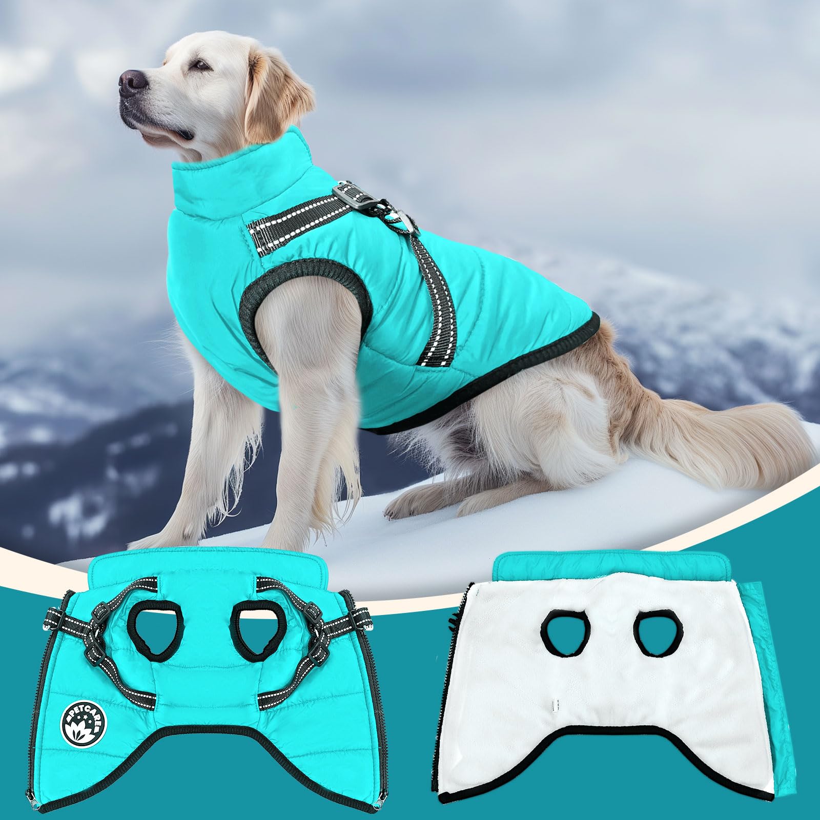 PETCARE Warm Fleece Lining inner adds cozy insulation on cold days.