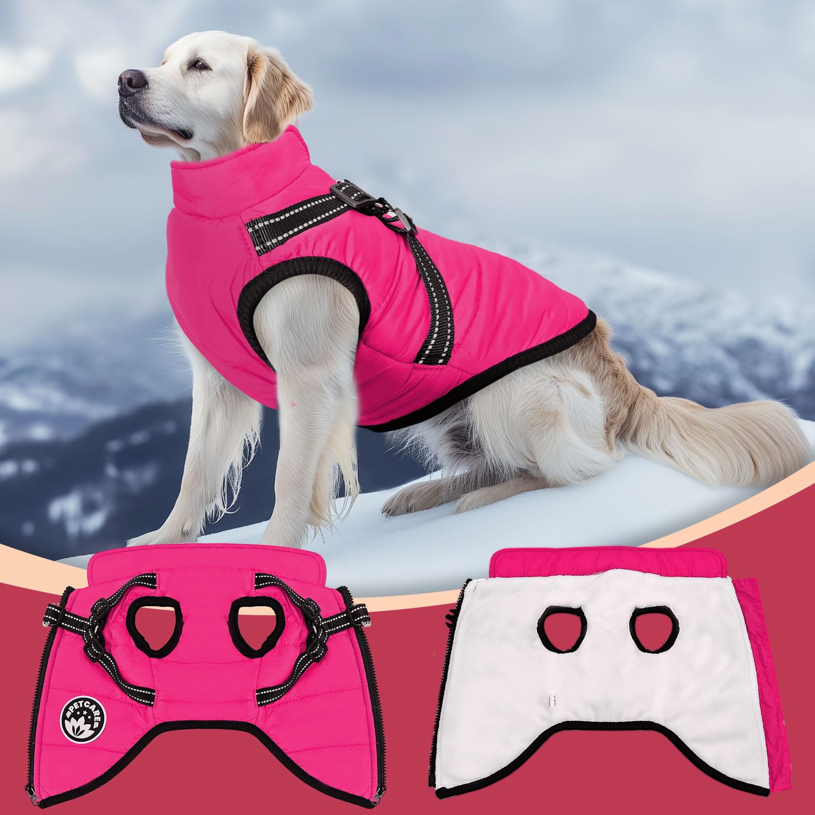 Petcare winter coat for dogs during travel and outdoor activities.