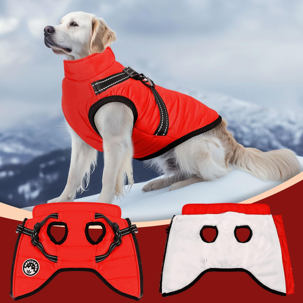 Petcare winter coat packaged ready for outdoor adventures