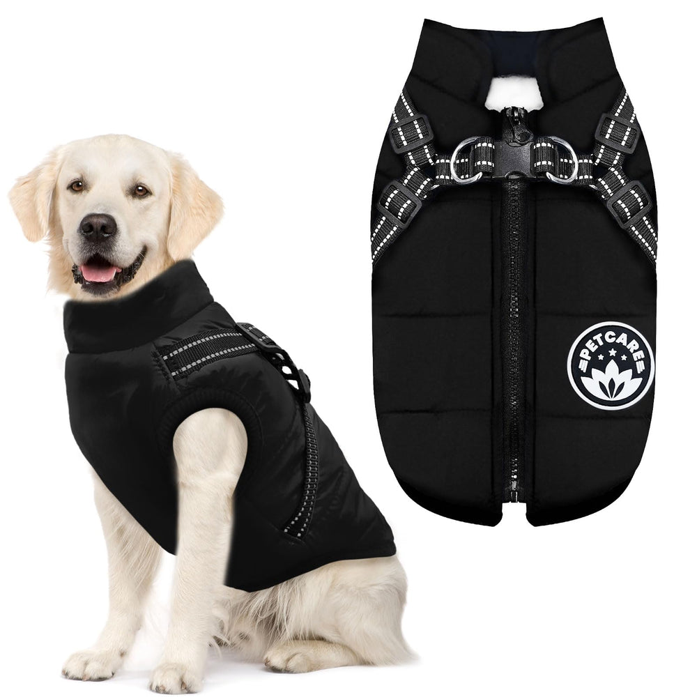 Petcare Winter Dog Coat color options present practical and stylish winter choice