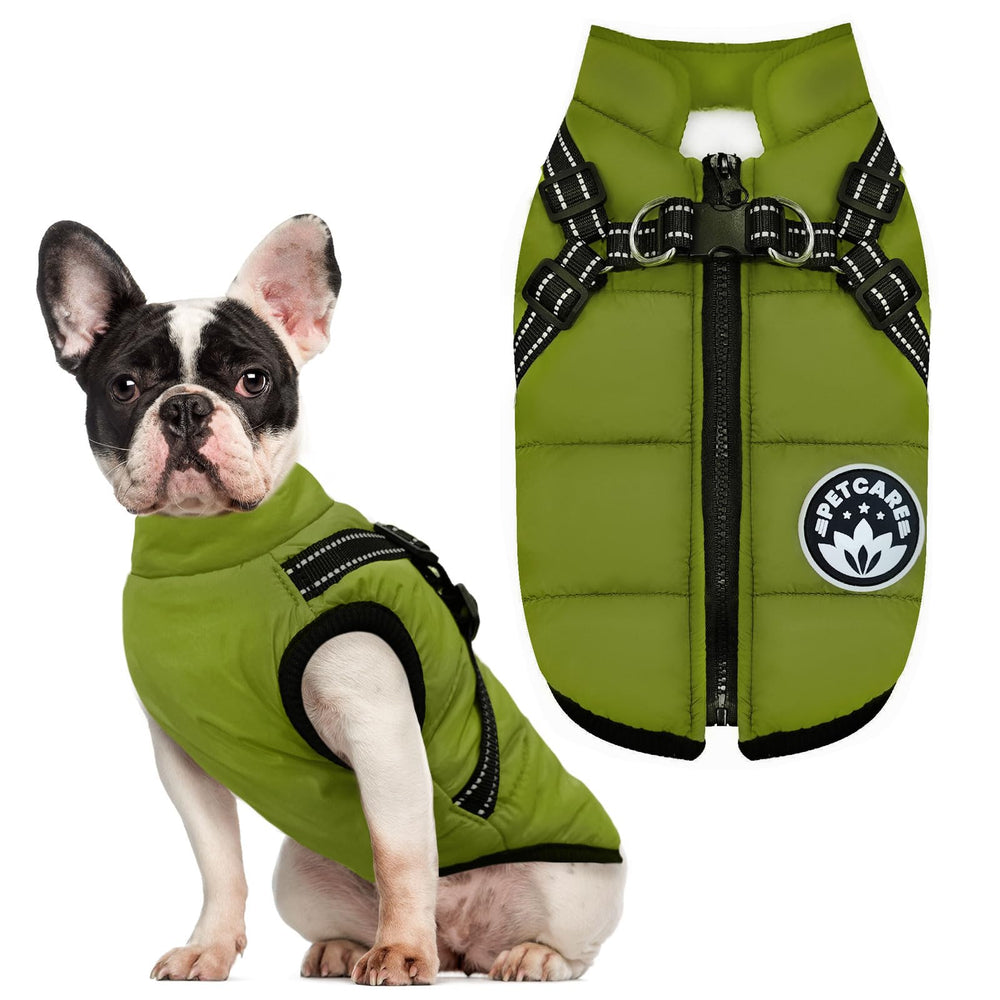 Petcare reflective design boosts safety during nighttime outdoor activities.