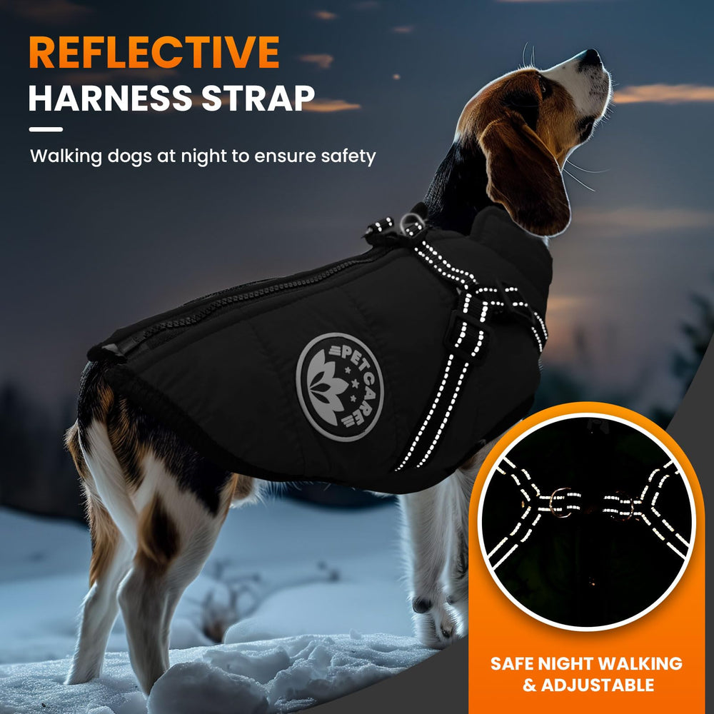 Petcare Winter Dog Coat with reflective strip enhances visibility at night