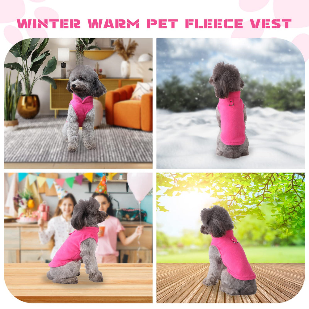 Petcare gift-ready winter sweater for pets, a thoughtful present.