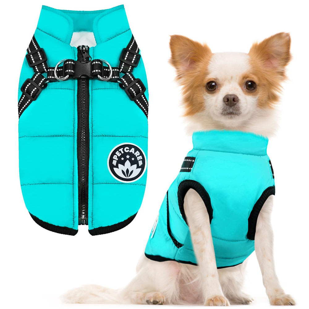 PETCARE Winter Outer Layer blocks wind and moisture during walks.